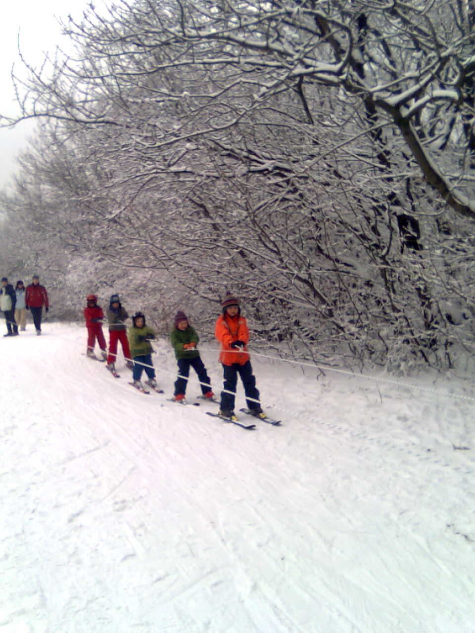 201001 031.jpg